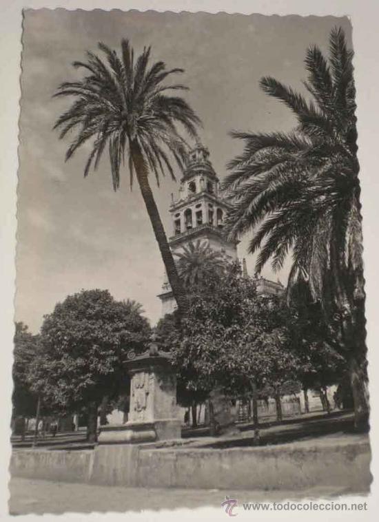 Postkarten: ANTIGUA FOTO POSTAL DE CORDOBA - PATIO DE LOS NARANJOS Y MEZQUITA CATEDRAL . GARCIA GARRABELLA 20, S