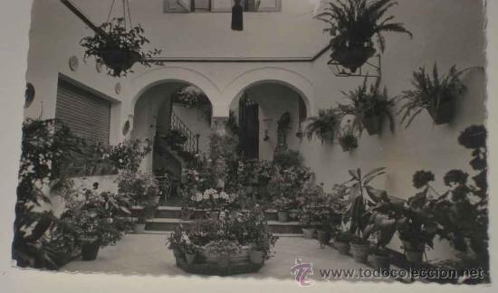 Postkarten: ANTIGUA FOTO POSTAL DE CORDOBA - PATIO TIPICO. GARCIA GARRABELLA 1, SIN CIRCULAR