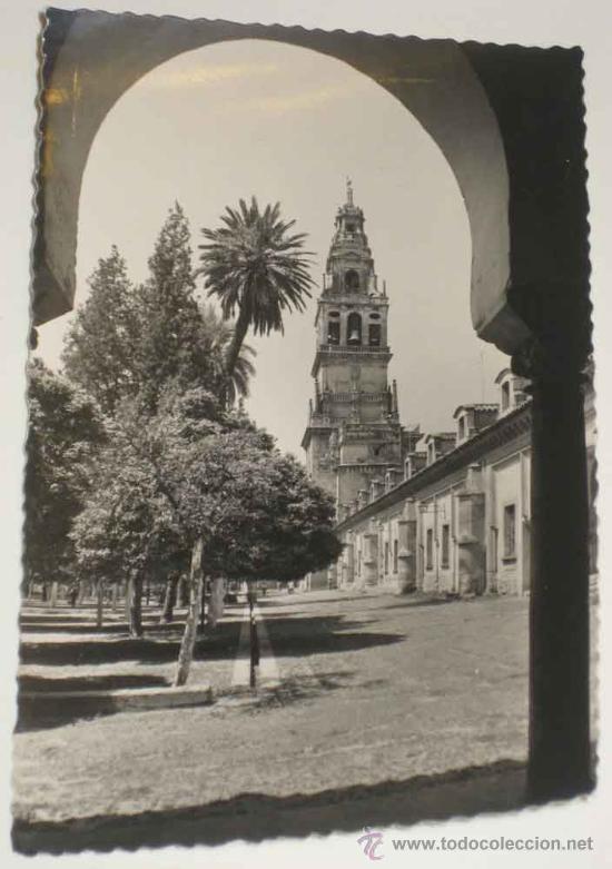 Postais: ANTIGUA FOTO POSTAL DE CORDOBA - PATIO DE LOS NARANJOS Y TORRE DE LA CATEDRAL. GARCIA GARRABELLA 21,
