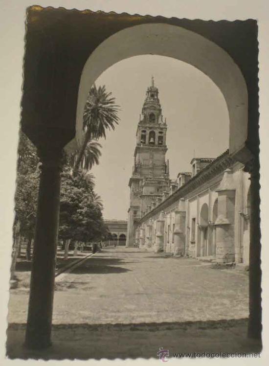 Postkarten: ANTIGUA FOTO POSTAL DE CORDOBA - PATIO DE LOS NARANJOS Y TORRE DE LA CATEDRAL. GARCIA GARRABELLA 22,