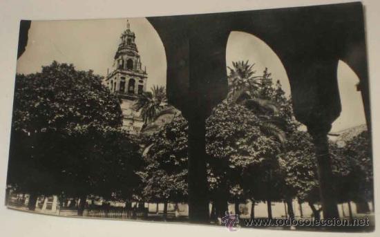 Postkarten: ANTIGUA FOTO POSTAL DE CORDOBA - PATIO DE LOS NARANJOS. HELIOTIPIA ARTISTICA ESPA&Ntilde;OLA 31 HAE - SIN C