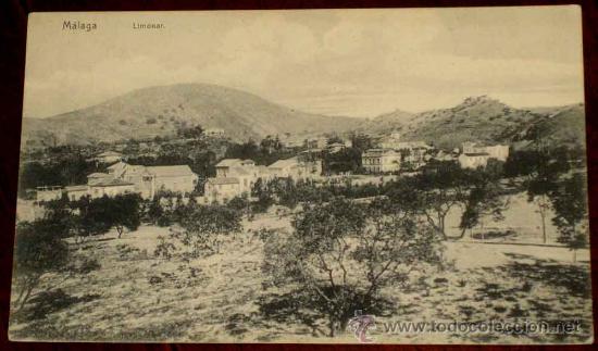 Postales: ANTIGUA POSTAL DE MALAGA - LIMONAR - ED. KNACKSTEDT Y NATHER - REVERSO CON SELLO EN AZUL QUE SE APRE