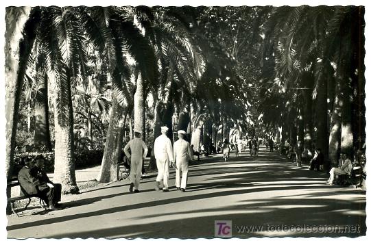 Postales: MALAGA, PASEO DEL PARQUE,   P26096