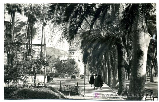 Postales: MALAGA, VISTAS PASEO,       P26102