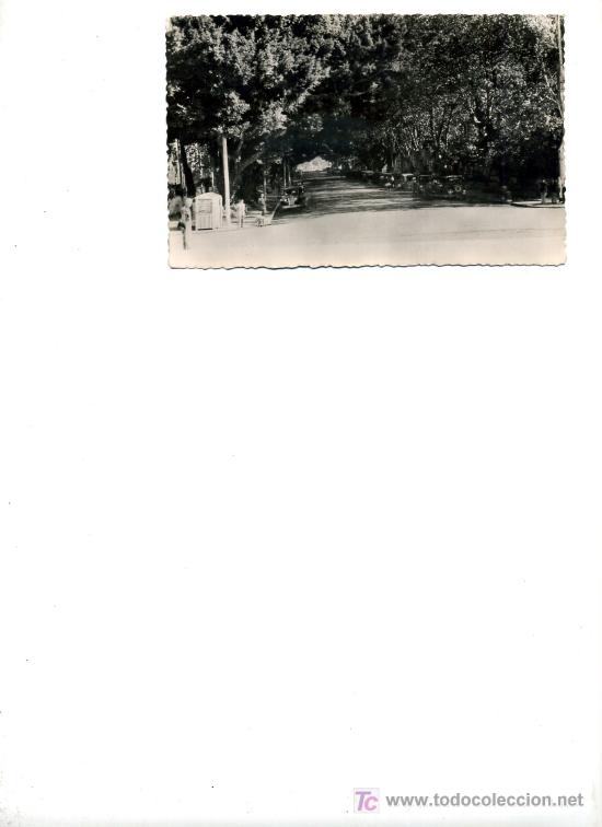 Postales: MALAGA, AVENIDA DEL GENERALISIMO FRANCO,       P26113