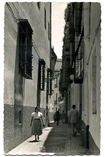 Postales: MALAGA, CALLE FRESCA,       P26114