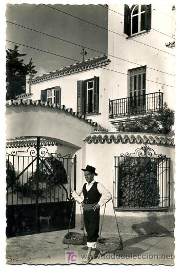 Postales: MALAGA, TIPICO MARENGO,      P26165