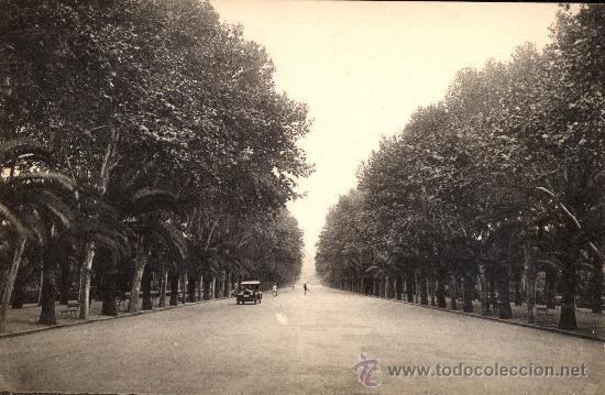 Postales: MALAGA : Paseo del Parque