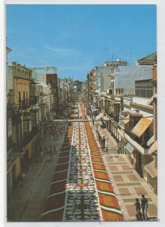 Postales: TARJETA POSTAL DE SANLUCAR DE BARRAMEDA ALFOMBRA DE FLORES FIESTA DE LA VIRGEN DE LA CIUDAD CADIZ