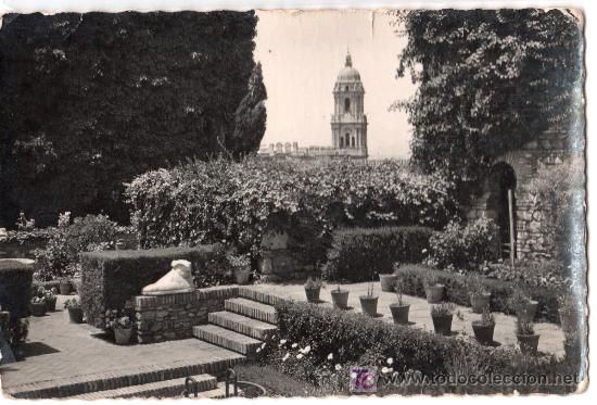 Postkarten: TARJETA POSTAL DE MALAGA N&ordm; 35. LA CATEDRAL DESDE LA ALCAZABA. ED. GARCIA GARRABELLA