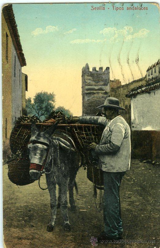 Postales: POSTAL SEVILLA TIPOS ANDALUCES - Foto 1