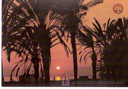 Postales: POSTALES DE LA COSTA DEL SOL - MALAGA - 1975 - POSTAL SIN CIRCULAR
