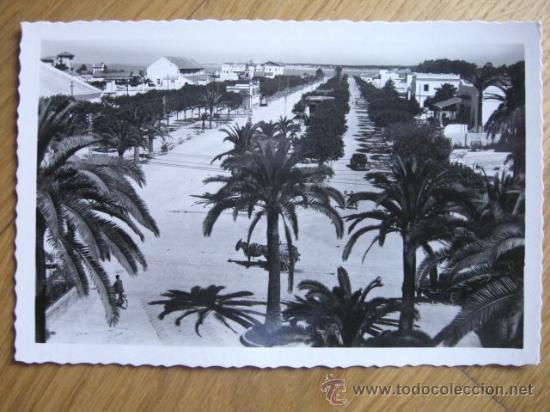 Postales: POSTAL SANLUCAR DE BARRAMEDA - PASEO DE LA CALZADA