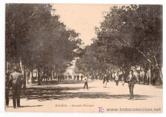 Postais: TARJETA POSTAL DE MALAGA. ALAMEDA PRINCIPAL. EDICION D.C.H. MALAGA