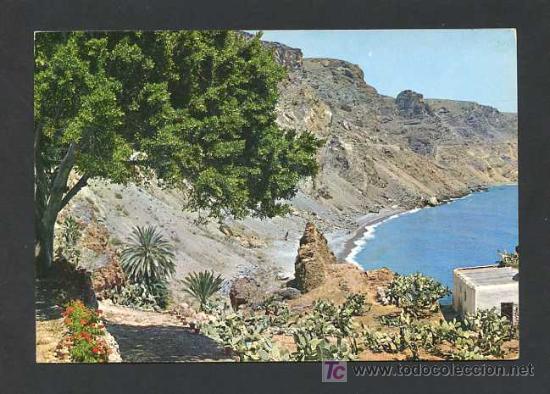 Postales: El Palmer. Ed. G. Garrabella - SRC n&ordm; 2. Nueva.
