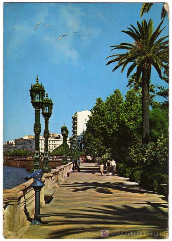 Postales: BONITA POSTAL - CADIZ - ALAMEDA DE APODACA