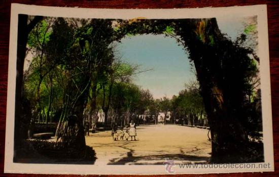 Postales: ANTIGUA FOTO POSTAL COLOREADA DE JAEN - ALAMEDA DE CALVO SOTELO - ED. ARRIBAS - NO CIRCULADA.