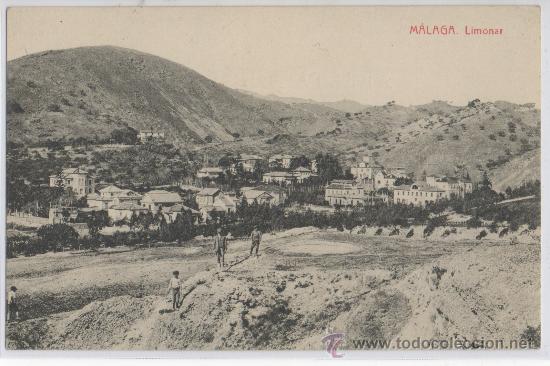 Postales: TARJETA POSTAL LIMONAR MALAGA - Foto 1