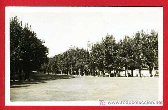 Postales: MALAGA, VISTAS PARQUE,   P30398