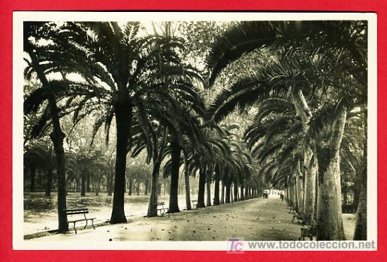 Postales: MALAGA, PASEO LATERAL DEL PARQUE DE LA REPUBLICA,   P30399