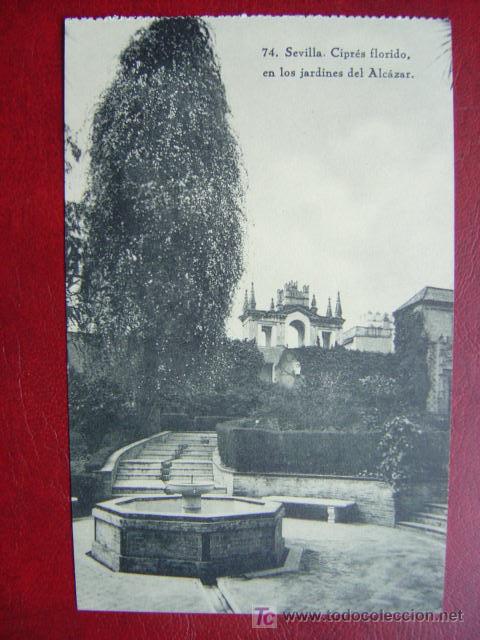 Postales: SEVILLA - Foto 1