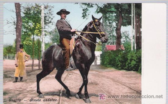 Cartes Postales: Sevilla-Jinete Andaluz. Purger & Co. 3456. Anterior a 1906. NO CIRCULADA