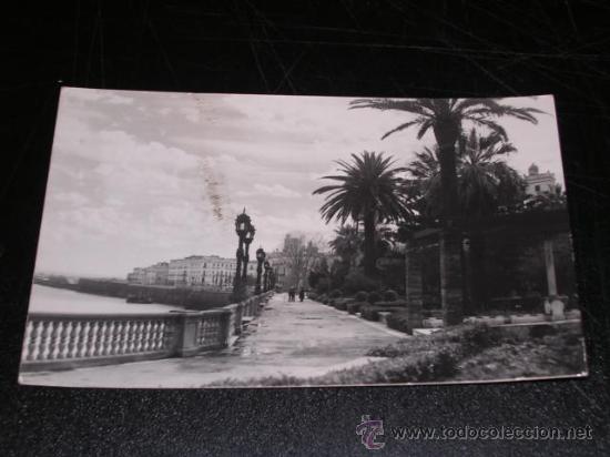 Postales: N.29 CADIZ , ALAMEDA DE APODACA