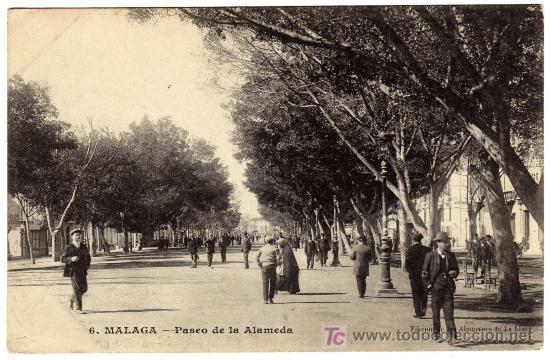 Postales: BONITA POSTAL - MALAGA - PASEO DE LA ALAMEDA - EDICION DE LOS ALMACENES DE LA LLAVE