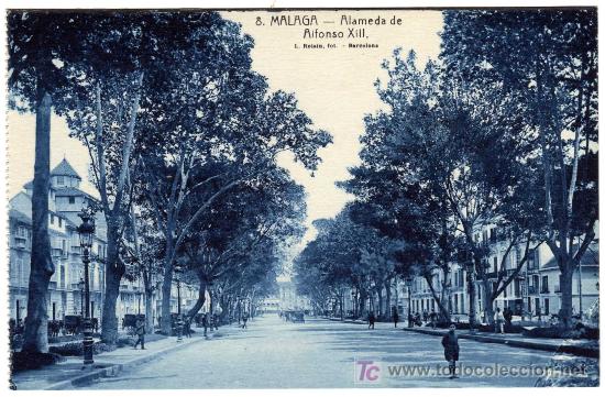 Postales: BONITA POSTAL - MALAGA - ALAMEDA DE ALFONSO XIII
