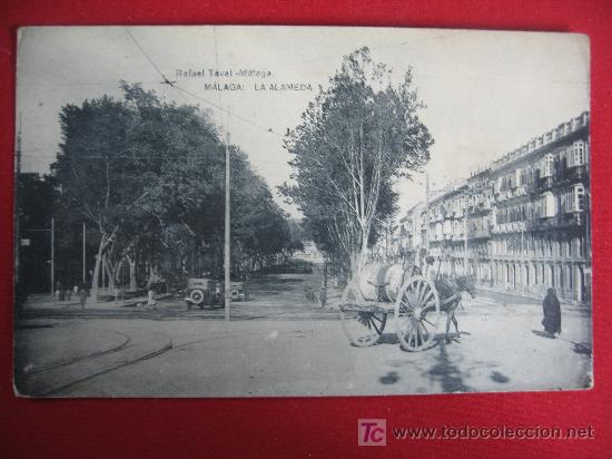 Postales: MALAGA - LA ALAMEDA