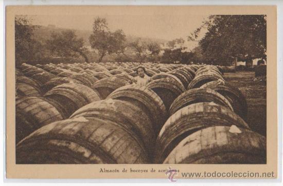 Postales: TARJETA POSTAL ALMACEN DE BOCOYES CONSUMA SIEMPRE ACEITUNAS DE SEVILLA OLIVAS ACEITUNA OLIVOS BARRIL