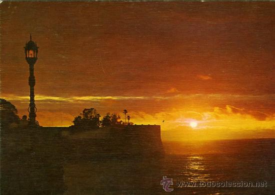 Postales: POSTAL CADIZ ALAMEDA DE APODACA PUESTA DE SOL