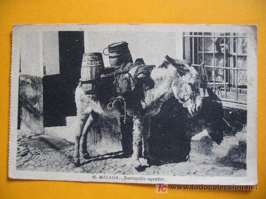 Postales: MALAGA - BORRIQUILLO AGUADOR