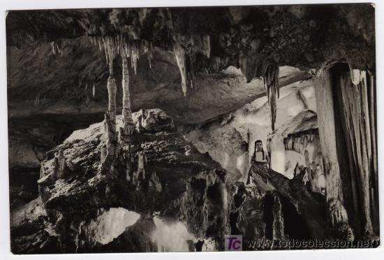 Postales: BONITA POSTAL - CUEVA DE NERJA (MALAGA) - SALA COLMILLO DEL ELEFANTE