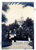 Postales: Foto 6 x 8,50 cm. Malaga. Jard&iacute;n Alfonso XIII.