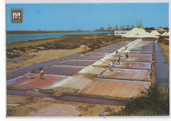 Postales: TARJETA POSTAL DE SAN FERNANDO SALINAS EXTRACCION DE LA SAL EN LOS TAJOS CADIZ