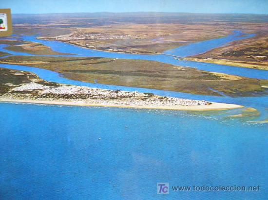 Postales: PUNTA UMBRIA. N&ordm; 3. ESCUDO DE ORO