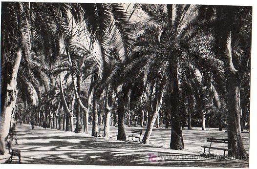Cartoline: TARJETA POSTAL ANTIGUA DE MALAGA N&ordm; 367. PASEO DEL PARQUE. EDICIONES DOLORES DE O&Ntilde;A.