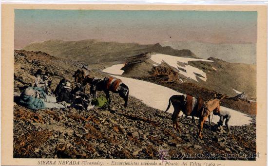 Postales: SIERRA NEVADA(GRANADA).-EXCURSIONISTAS SUBIENDO AL PICACHO DEL VELETA