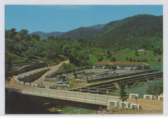 Postales: TARJETA POSTAL DE SIERRA CAZORLA PISCIFACTORIA JAEN