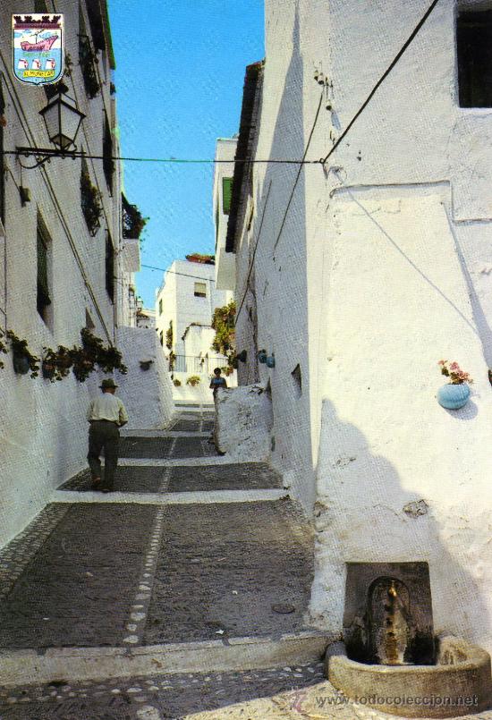 Postales: POSTAL CIRCULADA DE ALMU&Ntilde;ECAR,GRANADA.CALLE TIPICA.