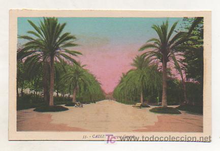 Postales: CADIZ. PARQUE GENOV&Eacute;S. (L. ROISIN)