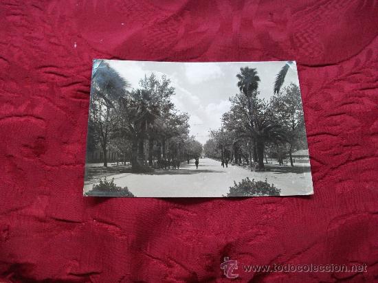 Postales: Linares paseo de Linarejos,ed Arribas