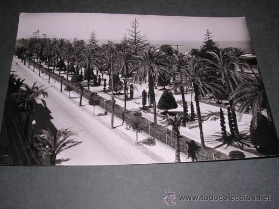 Postales: 1074- CADIZ,PARQUE GENOVES,EDC.ARRIBAS-15X10 CM.