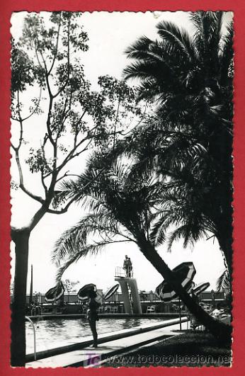Postales: MALAGA, HOTEL MIRAMAR, PISCINA,    P36774