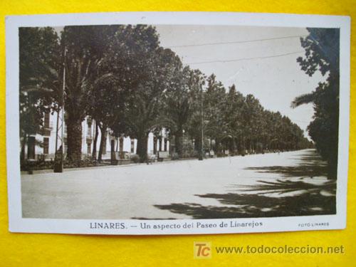 Postales: Antigua Postal : LINARES - Un aspecto del Paseo de Linarejos - Foto Linares