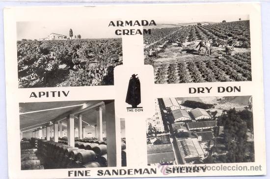 Postales: TARJETA POSTAL DE JEREZ DE LA FRONTERA SANDEMAN VINEYARDS & BODEGAS VINO ALCOHOL BEBIDA  CADIZ