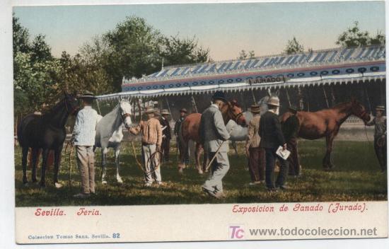 Postais: Sevilla.- Feria. Exposici&oacute;n de Ganado (Jurado)