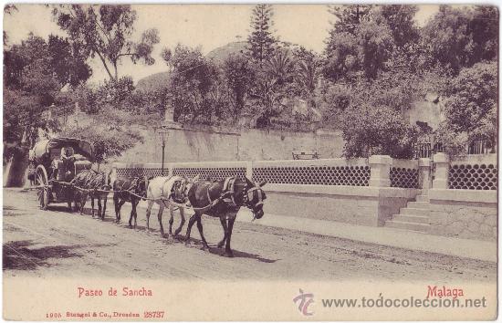 Postais: M&aacute;laga: Paseo de Sancha. Stengel & Co. Reverso sin dividir. No circulada (Anterior a 1905)