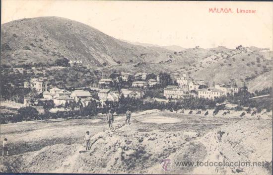 Postales: M&Aacute;LAGA.- LIMONAR - Foto 1